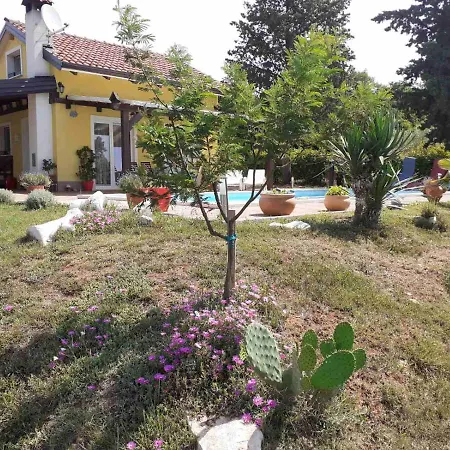 Tatil Evi Paco
