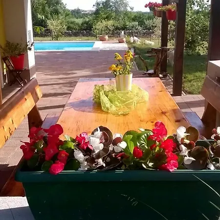 Dom wakacyjny Paco *